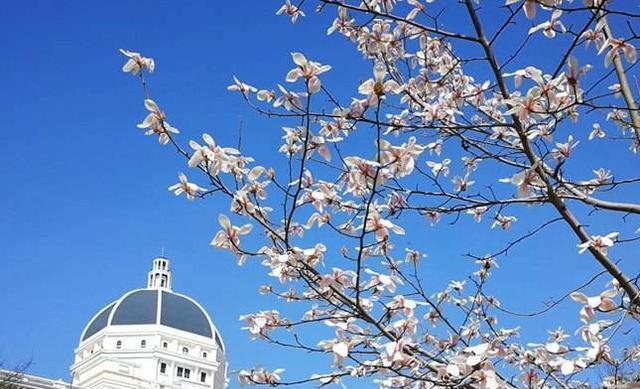 学乐英语好还是英孚好_学英语哪里好_英语是学美标好还是英标好