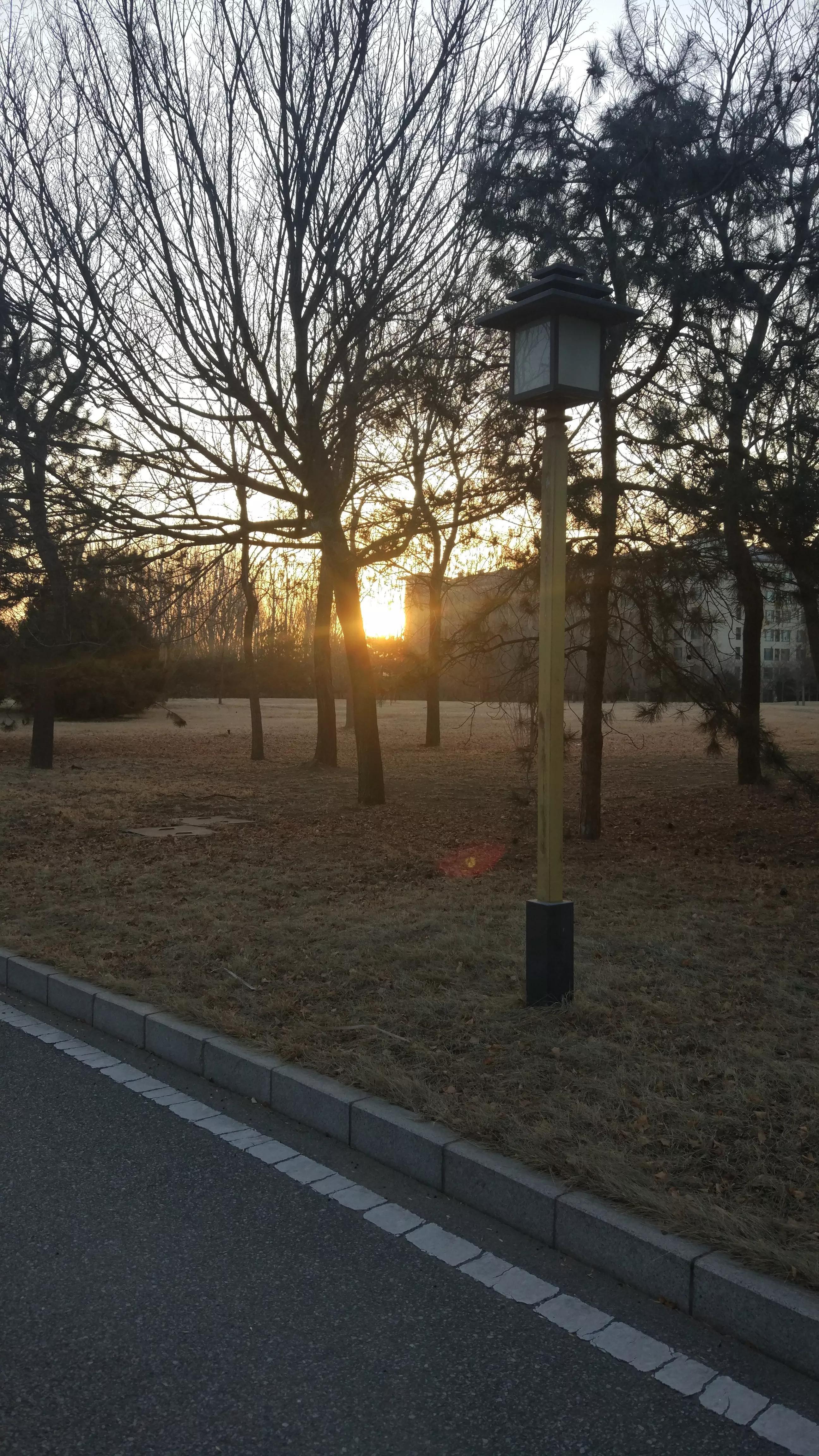 学几年英语才能完全掌握_中年零基础学几年英语才能流利_英语怎么学才能学好