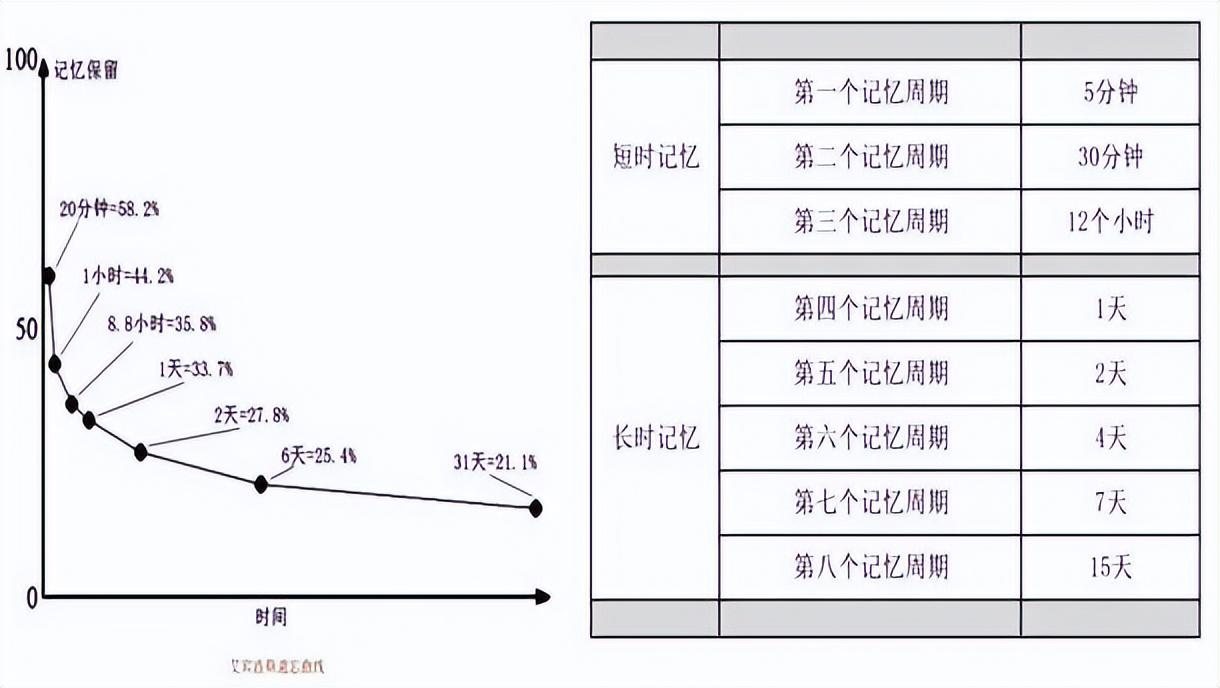 高考英语辅导_2019高考英语一对一辅导_英语高考一对一辅导