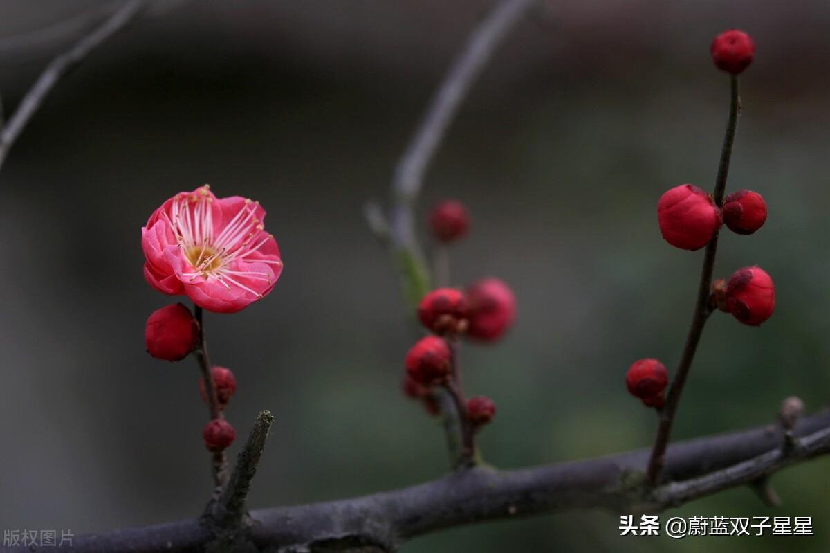 大专商务日语出国_大专商务日语_大专商务英语