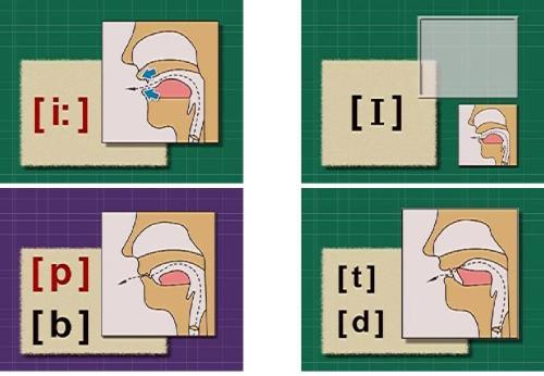 英语基础教学_外国音标发音视频_老外音标教学视频