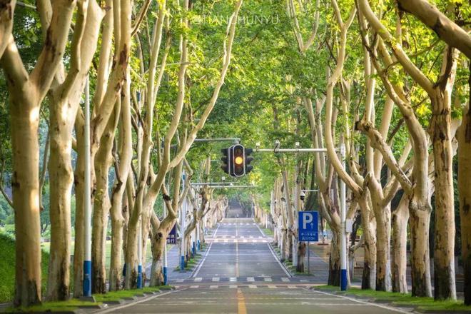 考研英语从什么开始学_考研开始英语学什么内容_怎么从零开始学英语考研