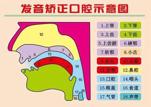 同时学英语和日语_学日语比学英语难吗_日语英语哪个更好学