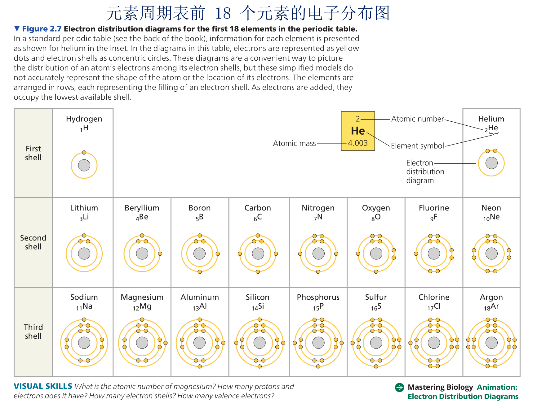 遗传学英语_遗传学英语翻译_遗传英语