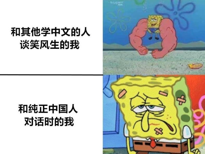 学英语梗_学外语的梗动图_学外语梗