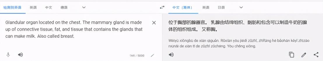 在线翻读英语_英语在线翻_在线英语翻译app