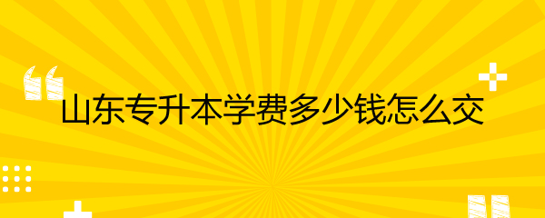 山东专升本学费多少钱怎么交