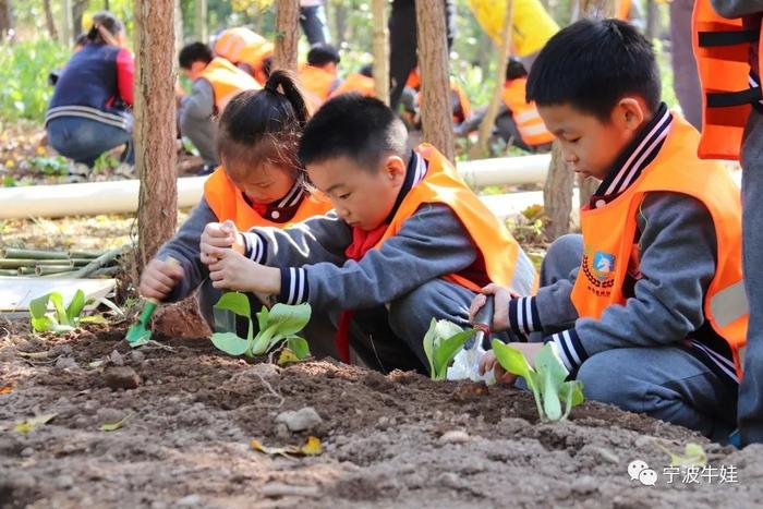 宁波英语学校封闭式全日制_宁波英语学校_宁波英语学校图片