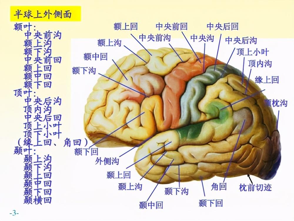 英国人学英文_英国的学生英语_英国人怎么学英语