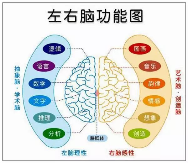 看美剧学英语要看中文字幕么_看剧学英语中的美剧_学英语连续剧美剧