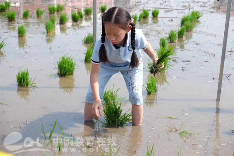 嗯学英语_呃学英语_j样学英语