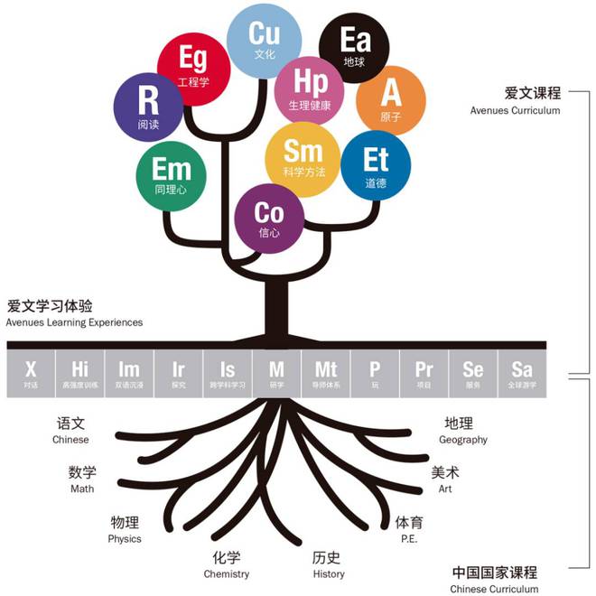 深圳市英语学校_深圳全英文小学_深圳英文学校