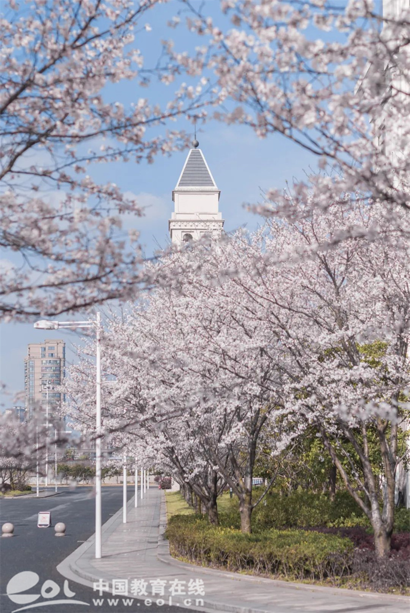 商务英语考研大学排名_商务英语考研学校排名_哪个学校的商务英语研究生好