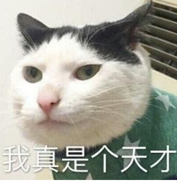 外教英语学校_跟外教一对一学什么英语_外教英语学校培训班