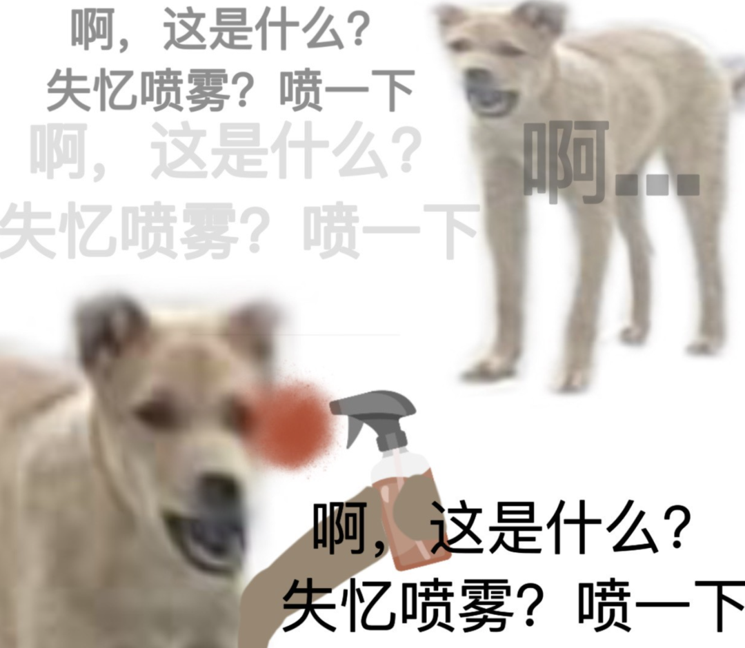 跟外教一对一学什么英语_外教英语学校培训班_外教英语学校