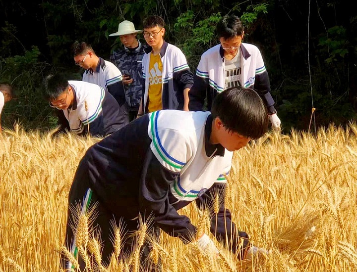 衡水外教口语培训哪家好_衡水外教一对一_衡水外教英语培训机构