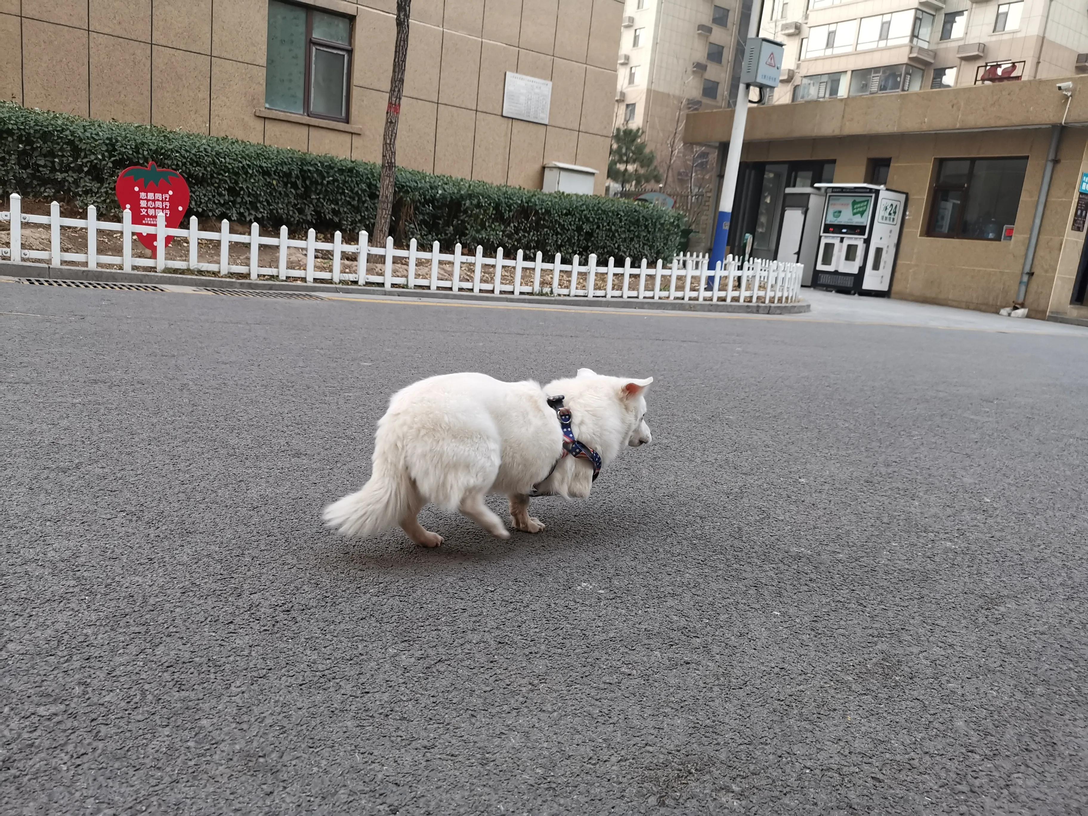 太原 外教 一对一_太原外教口语培训哪家好_太原外教英语