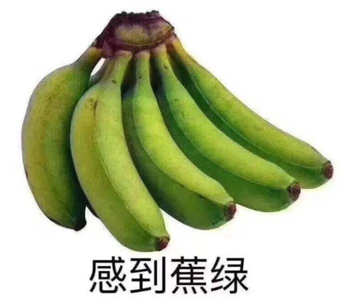 深圳有一对一外教吗_深圳外教收入_深圳找外教