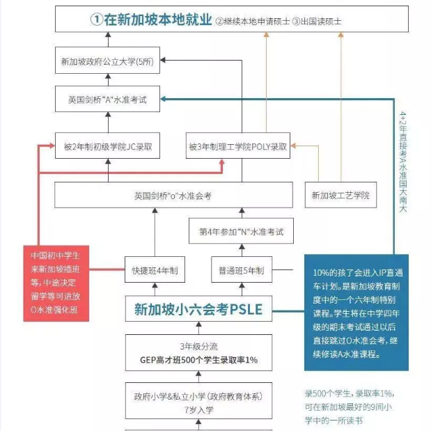 新加坡外教怎么样_新加坡一对一外教怎么样_新加坡外语学校