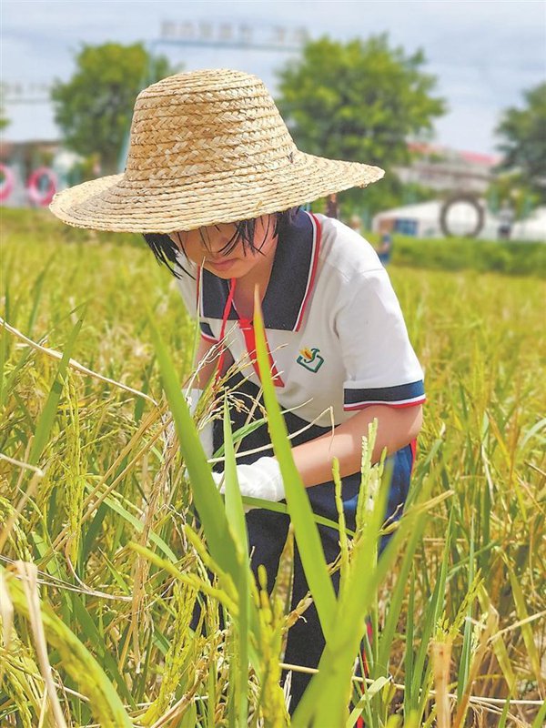 让孩子感受劳动乐趣，学习劳动技能，有利于培养积极心态。