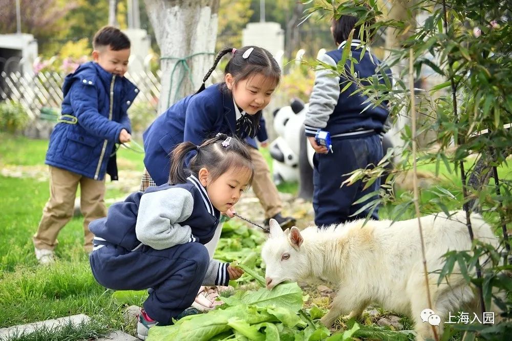 上海幼儿英语一对一外教_上海外教英语幼儿教师招聘_上海少儿英语外教