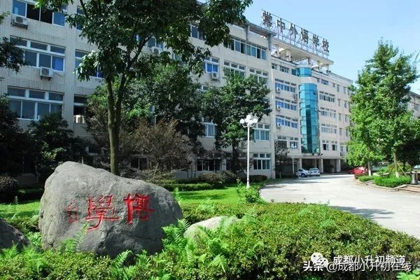 双流外教一对一_双流外国语学院_双流外语实验学校