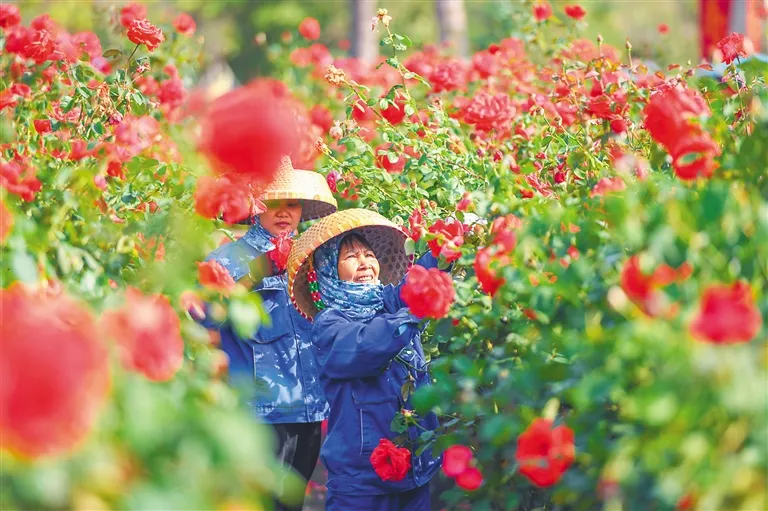 广东一对一外教_广东英语老师外教_广东外教