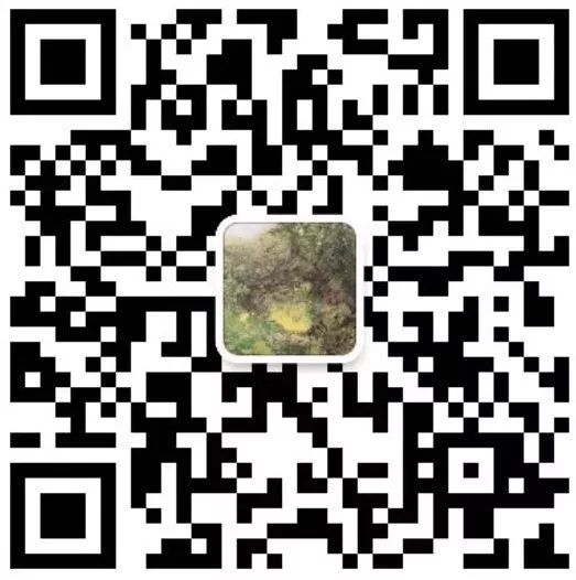 英语启蒙方法_英文外教一对一天津_非英语母语家长启蒙