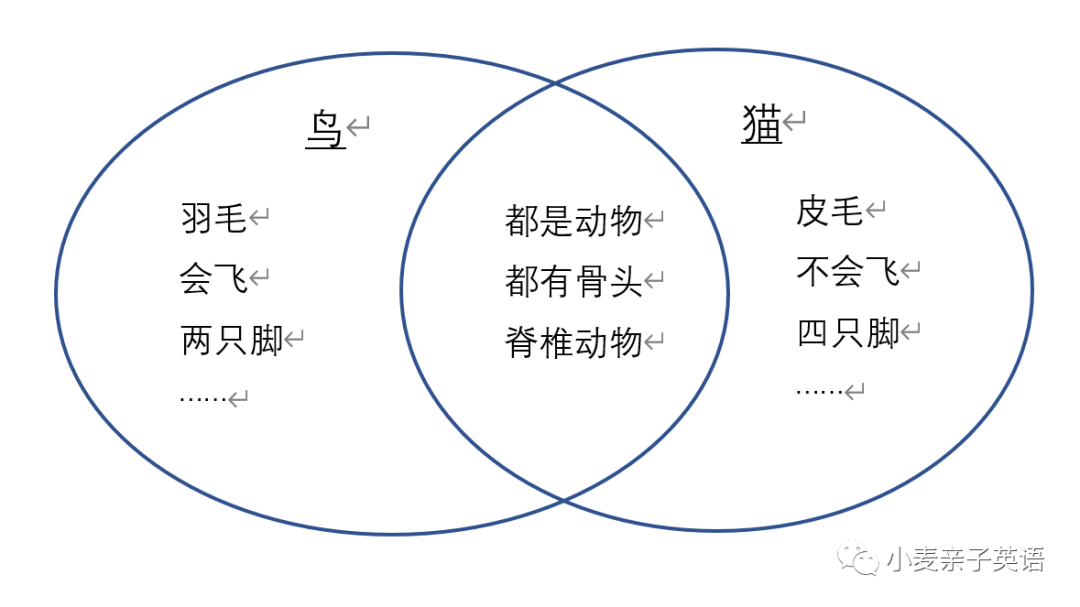  RAZ分级读物教学目标 _RAZ精读教案Lesson Plan _外教分级阅读一对一教案