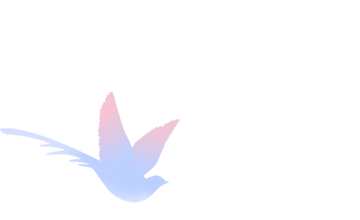 欧美英语外教一对一线上多少钱_HelloKid外教课程价格_英语外教课平台对比
