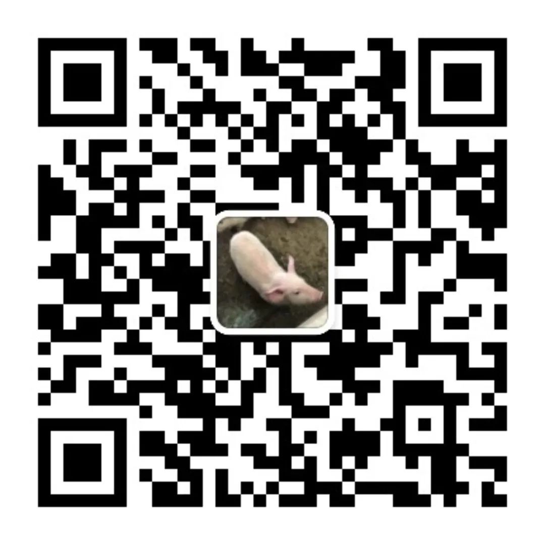 成都外教英语一对一_少儿英语网课机构评测_在线英语网课性价比对比