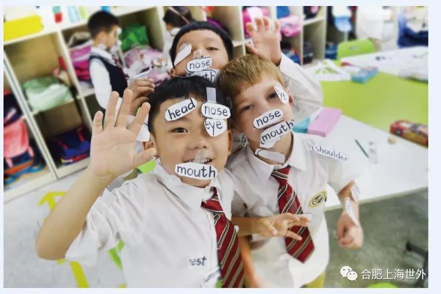 合肥上海世界外国语学校 初中课程体系 _合肥 外教 一对一_ 世外气质培养 国际化教育环境 