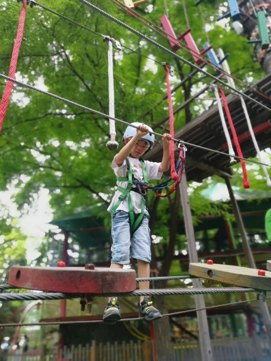 _ 麦禾户外场景课 _外教一对一课程感触