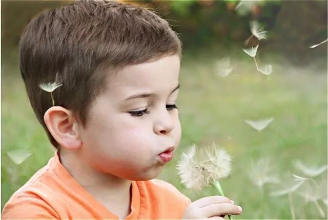 线上英语和阿卡索外教网哪个好_少儿英语外教机构对比_Vipkid 哒哒英语 阿卡索英语 趣趣abc