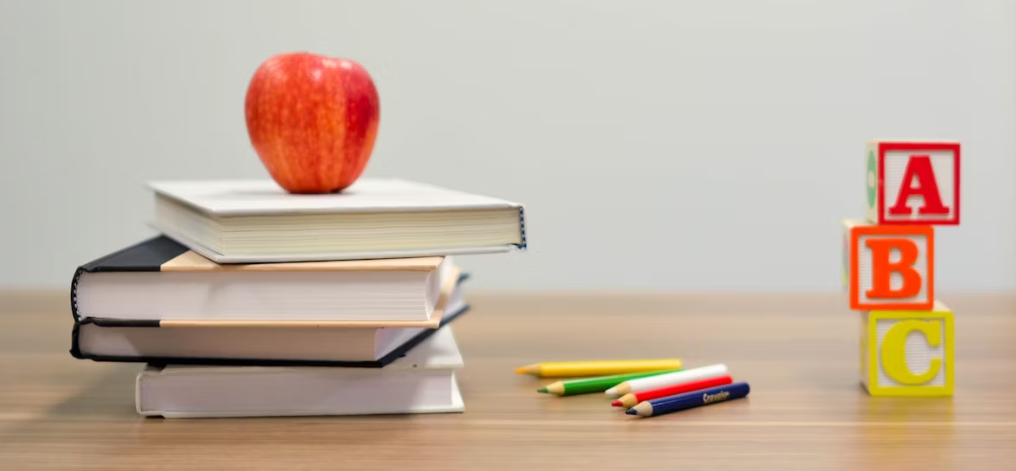 外教课英文表达_临港英语外教班_地道英语母语教学