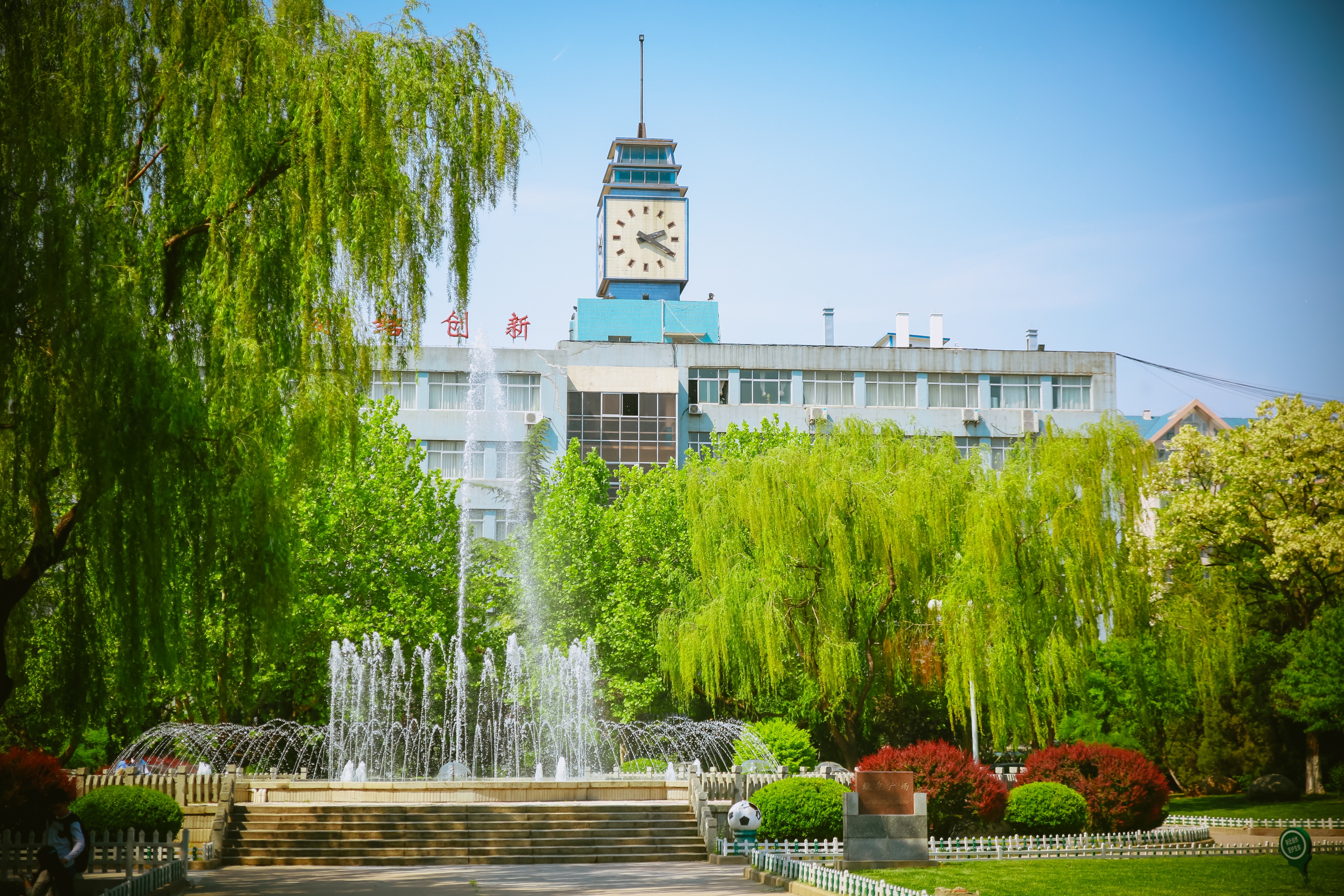 济南英语培训外教_济南大学国际本科_山东考生名校通道