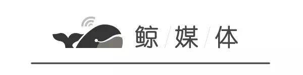 在线外教成本分析_韦博一对一外教_飞博教育商业模式