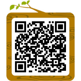 与外教交流的好处有哪些_免费英语口语外教一对一_英语口语练习平台推荐