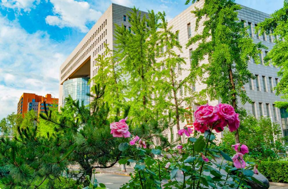 北京语言大学2+2留学培训项目_北京语言大学出国留学项目优势_北京外教一对一留学生怎么样