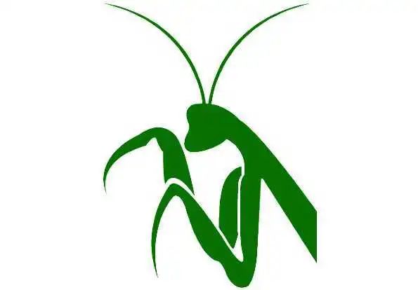 菲教口语学习优势分析_阿卡索外教菲教质量怎么样_在线少儿英语教育菲教与欧美外教对比