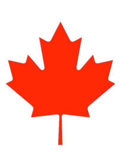 武汉枫叶学校一对一英语口语课_Frank外教一对一课程_私人外教 一对一