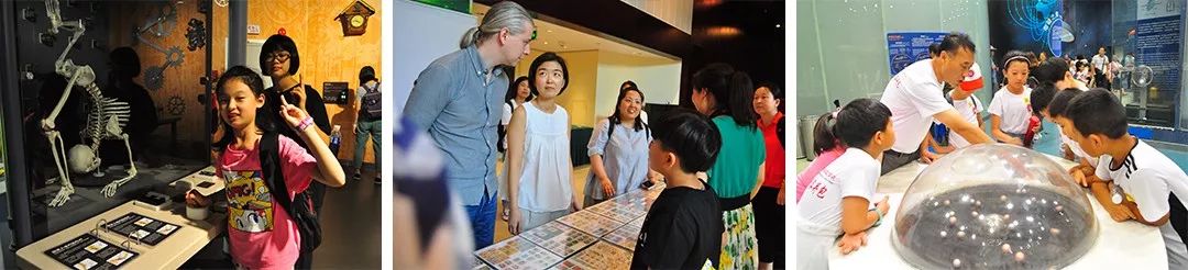 廊坊外教英语_强基计划 廊坊国际学校 廊坊双语学校