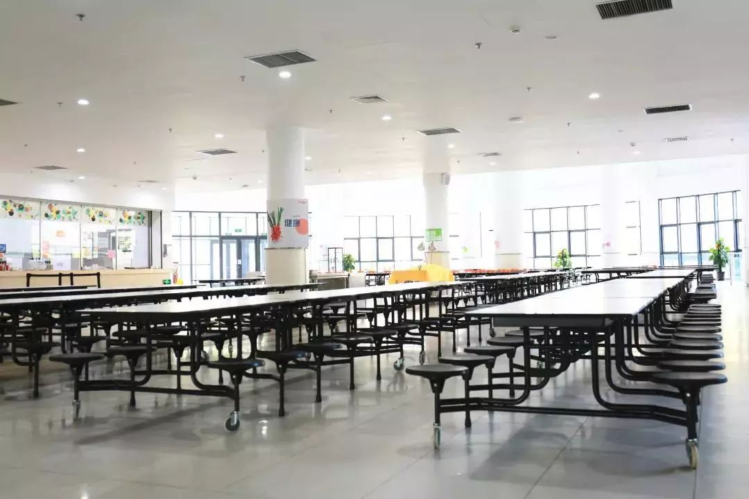 廊坊外教英语_强基计划 廊坊国际学校 廊坊双语学校