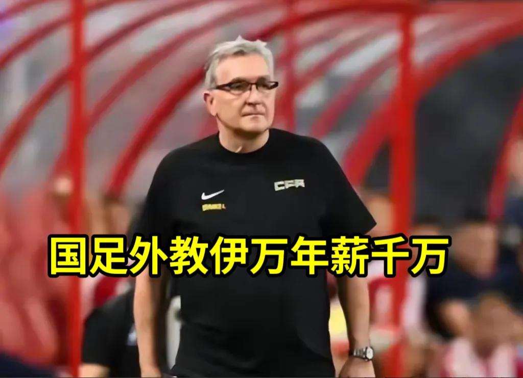 不用外教_外教用英语怎么说呢_一对一外教无用