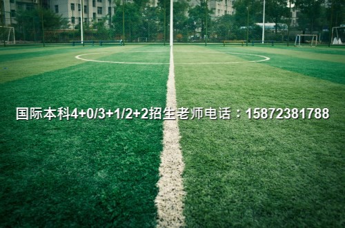 (2024)名单公布!中央财经大学中外本科国际班文凭认可吗